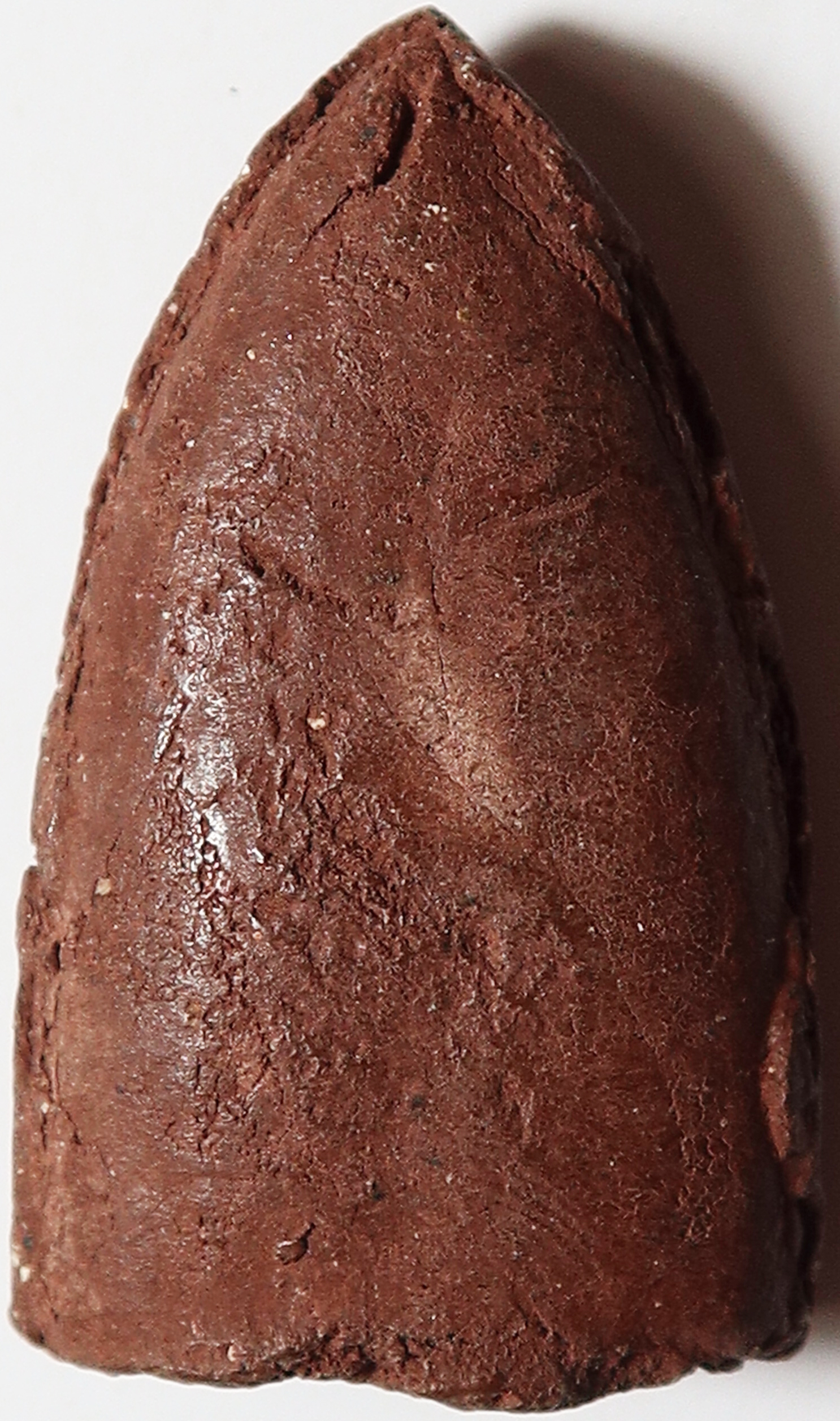 847 หลวงปู่ทวด วัดประสาทบุญญาวาส รุ่นบูรณะโบสถ์ ปี 2530 เนื้อผง ผสมมวลสารเก่า