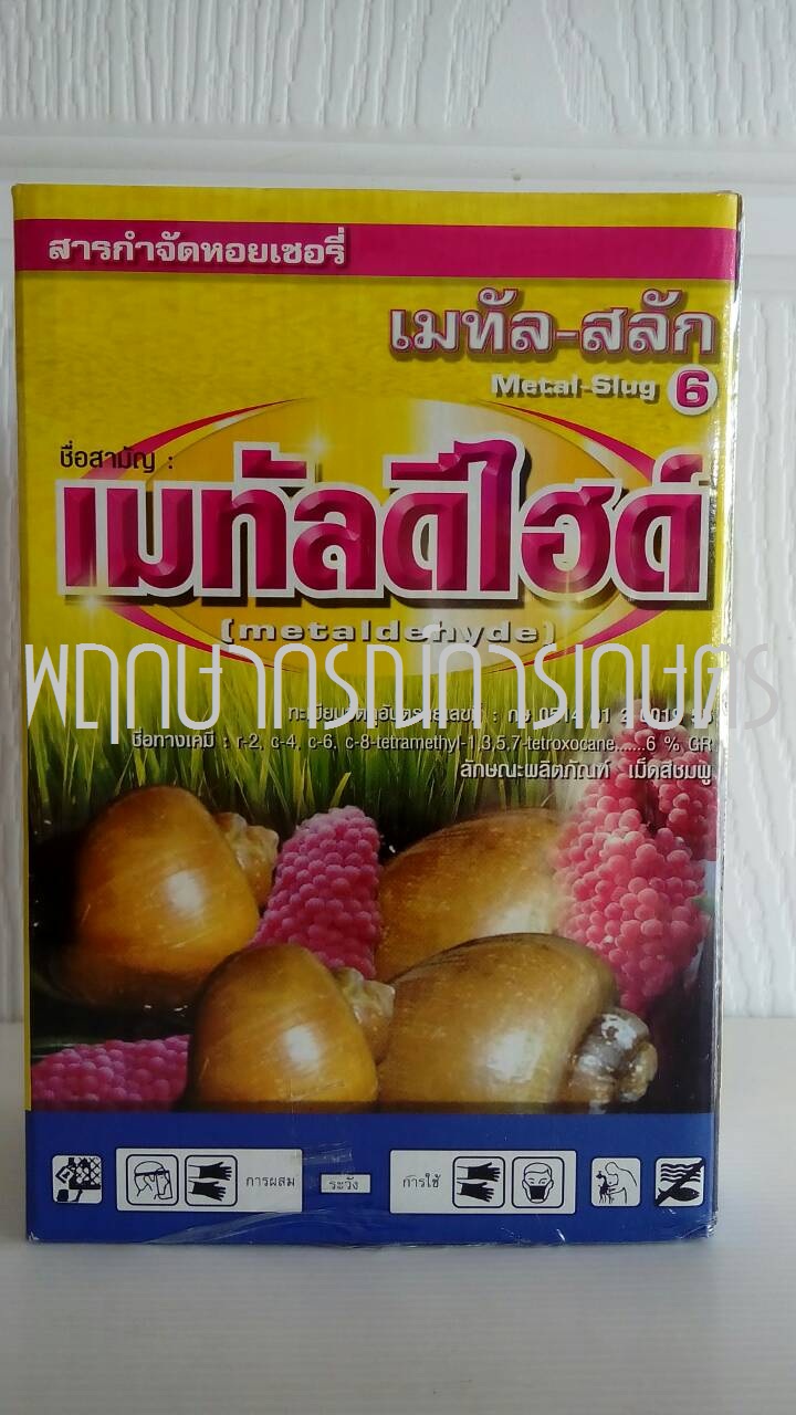 เมทัล-สลัก 6