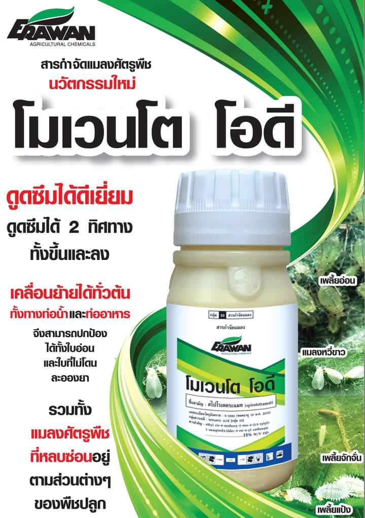 โมเวนโต โอดี