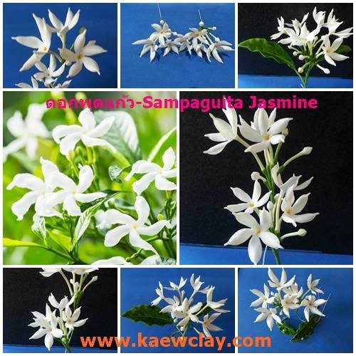 พิมพ์อลูมิเนียมตัดดอกพุดแก้ว+ใบพุดแก้ว(Aluminum mold cutter Sampaguita Jasmine + leaves )