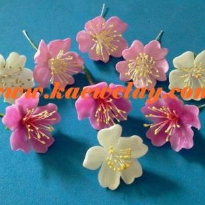 ดอกซากุระ (Cherry blossom )