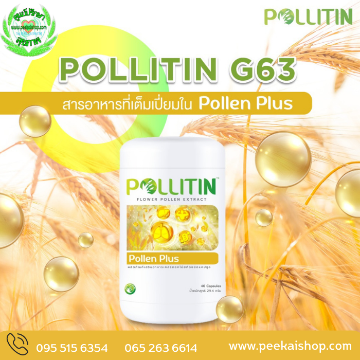พอลเลน พลัส Pollen Plus (สีเหลือง)