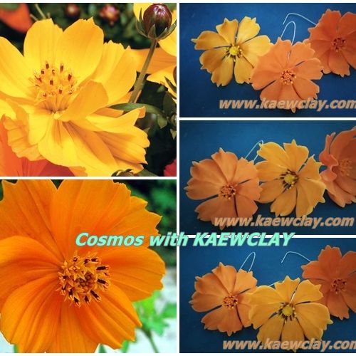 พิมพ์อลูมิเนียมตัดดอก+ใบดาวกระจาย(Aluminum mold cutter Cosmos + leaves )