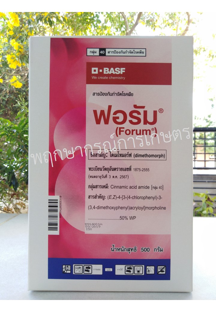 ฟอรัม 500 กรัม