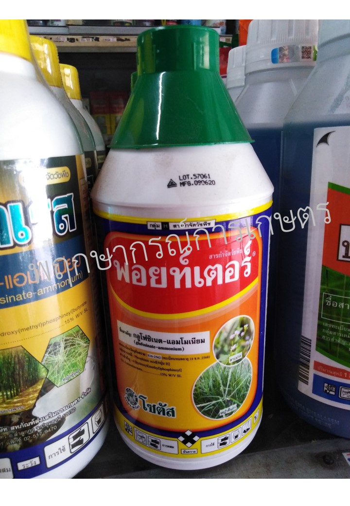 พอยท์เตอร์ 1 ลิตร