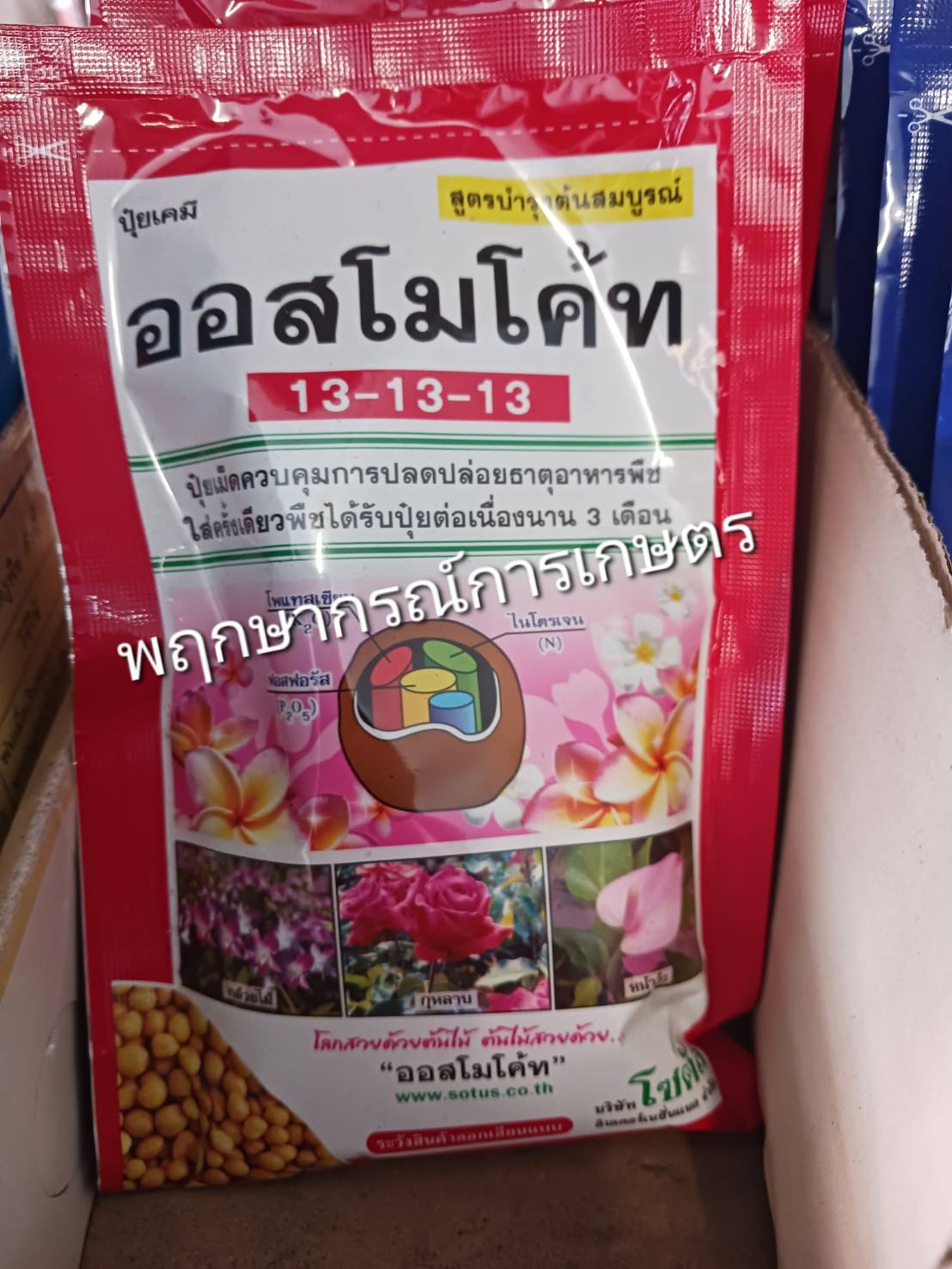 ออสโมโค้ท 100 กรัม