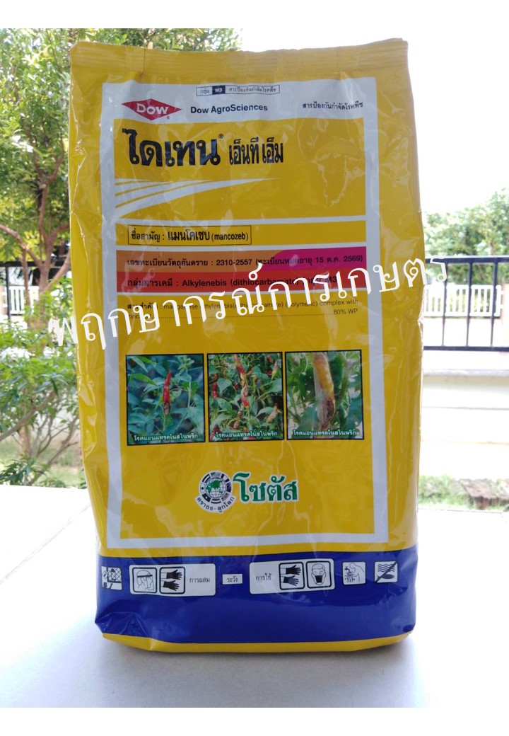 ไดเทน เอ็นที เอ็ม