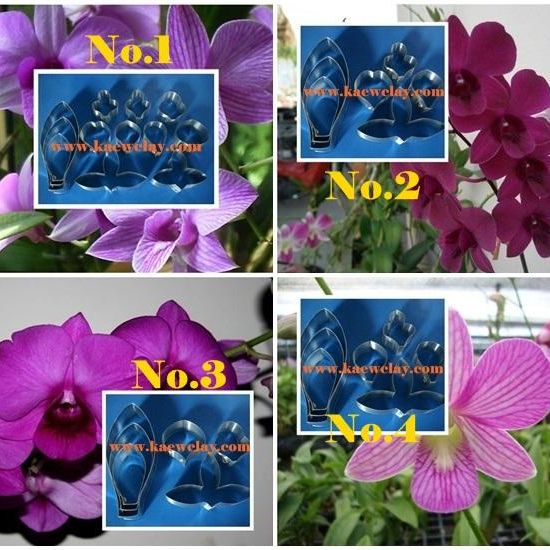 พิมพ์ตัดกล้วยไม้หวาย (Aluminum mold cutter Dendrobium )