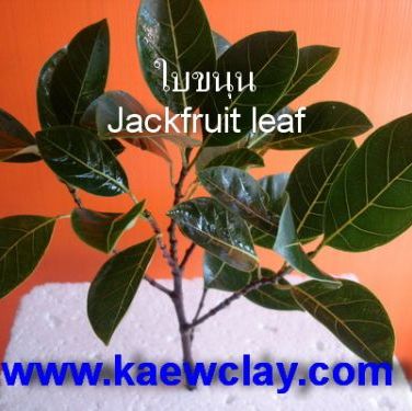 พิมพ์ตัดอลูมิเนียมใบขนุน(Aluminum mold cutter Jackfruit leaf )