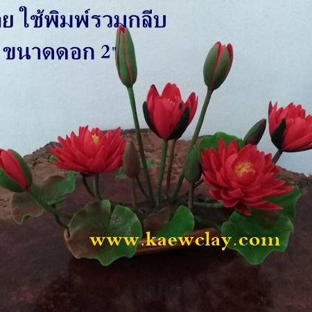 พิมพ์ตัดอลูมิเนียมดอก+ใบบัวสายจิ๋วรวมกลีบ(Aluminum mold cutter Mini Water Lily included petals)