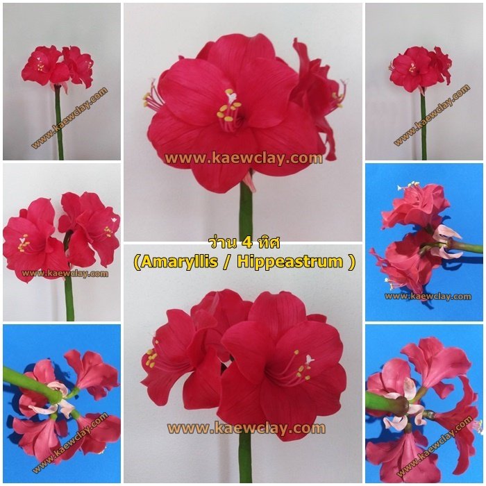 พิมพ์ตัดอลูมิเนียมว่าน 4 ทิศ(Aluminum mold cutter Amaryllis / Hippeastrum )