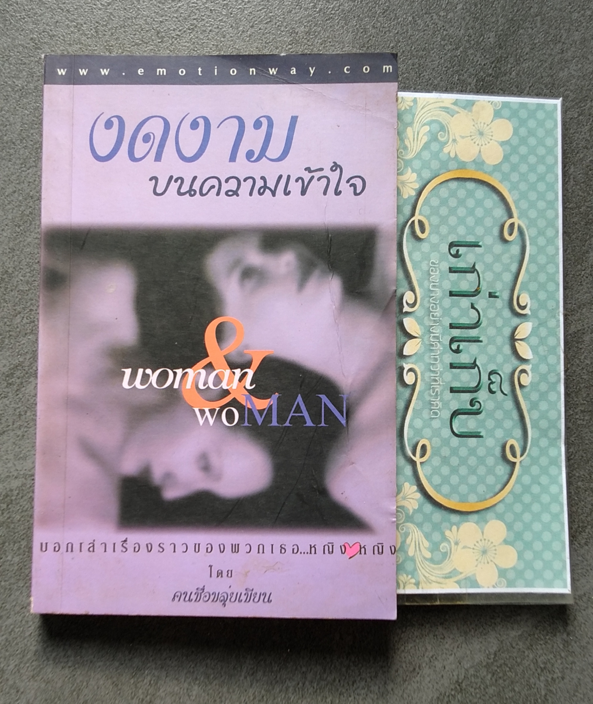 งดงามบนความเข้าใจ คนชื่อขลุ่ยเขียน