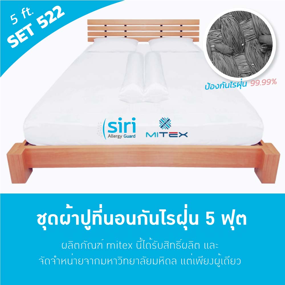 ผ้าปูที่นอนกันไรฝุ่น 5 ฟุต(522) Big Set