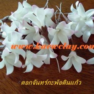 พิมพ์อลูมิเนียมตัดดอก 5 กลีบ (Aluminum mold cutter flower 5-petal)