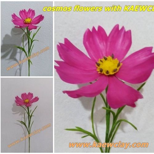พิมพ์อลูมิเนียมตัดดอก+ใบดาวกระจาย(Aluminum mold cutter Cosmos + leaves )