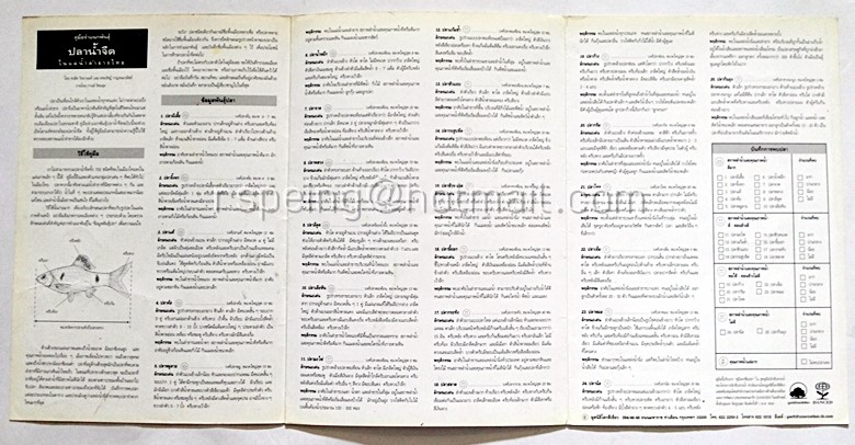 แผ่นภาพหาชื่อ ปลาน้ำจืด ในแม่น้ำลำธารไทย