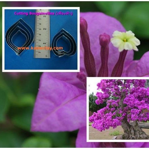 พิมพ์ตัดอลูมิเนียมดอก+ใบเฟื่องฟ้า(Aluminum mold cutter Bougainvillea )