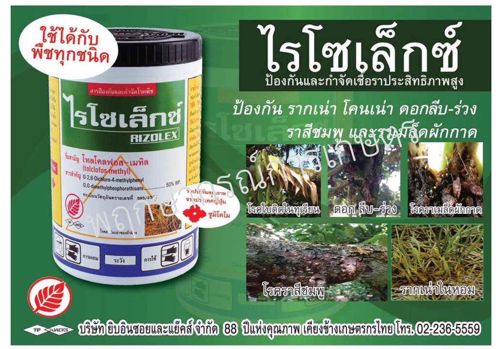 ไรโซเล็กซ์ 100 กรัม
