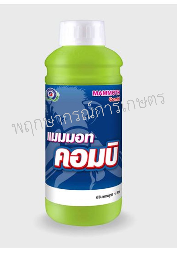 แมมมอท คอมบิ