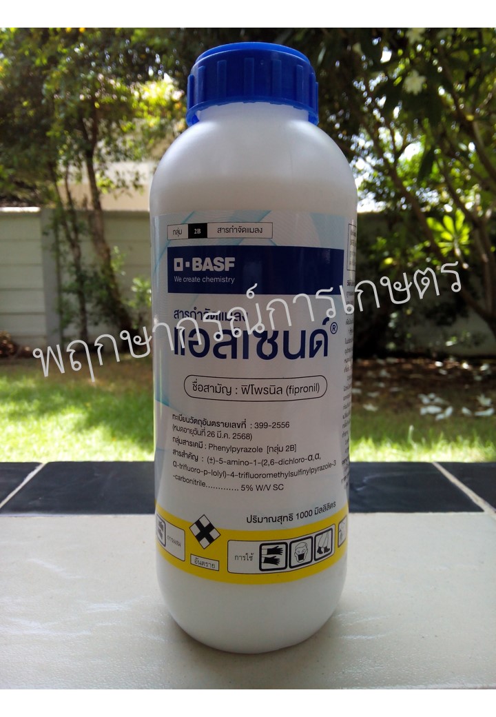 แอสเซนด์ 1 ลิตร