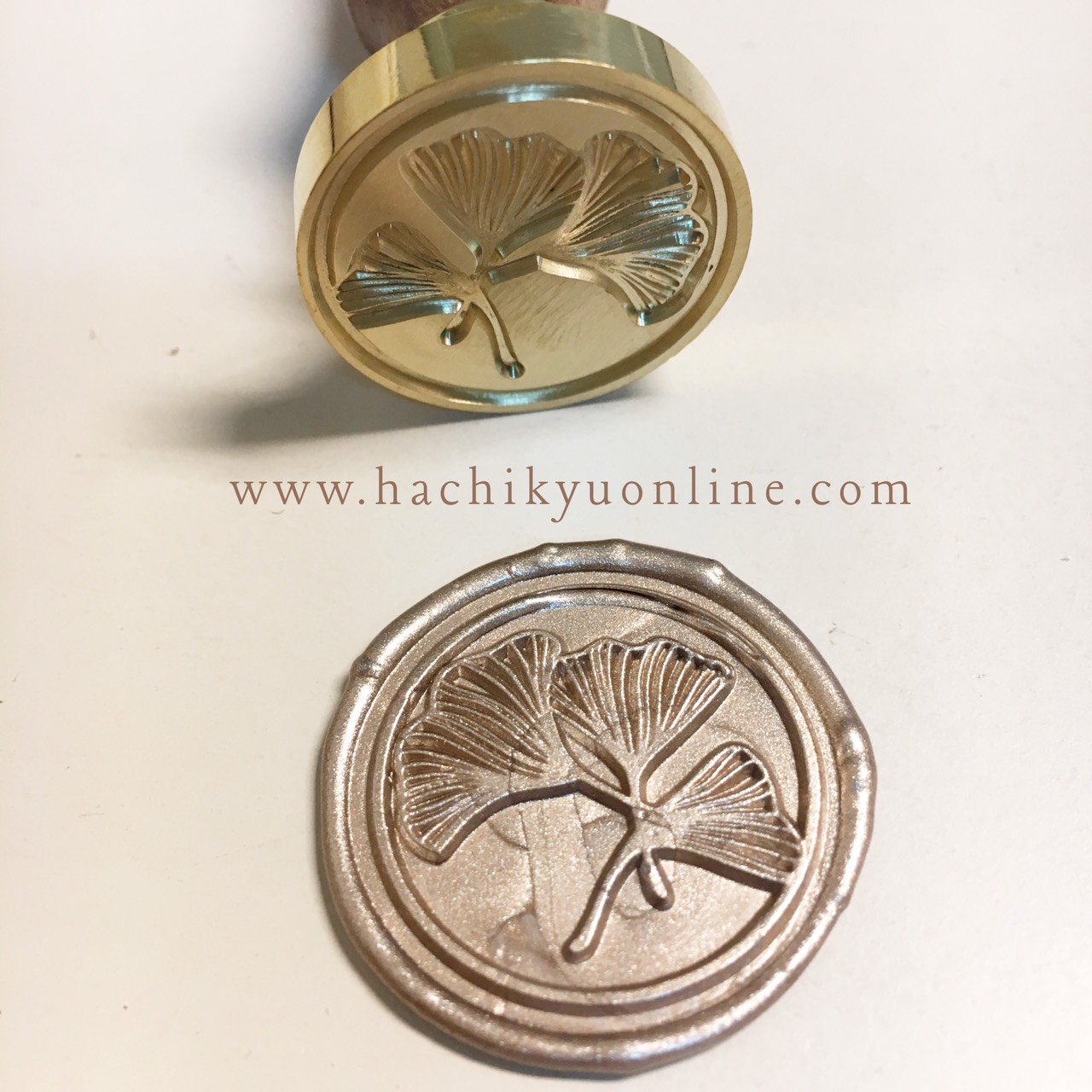 Gingko "ใบแปะก๊วย"