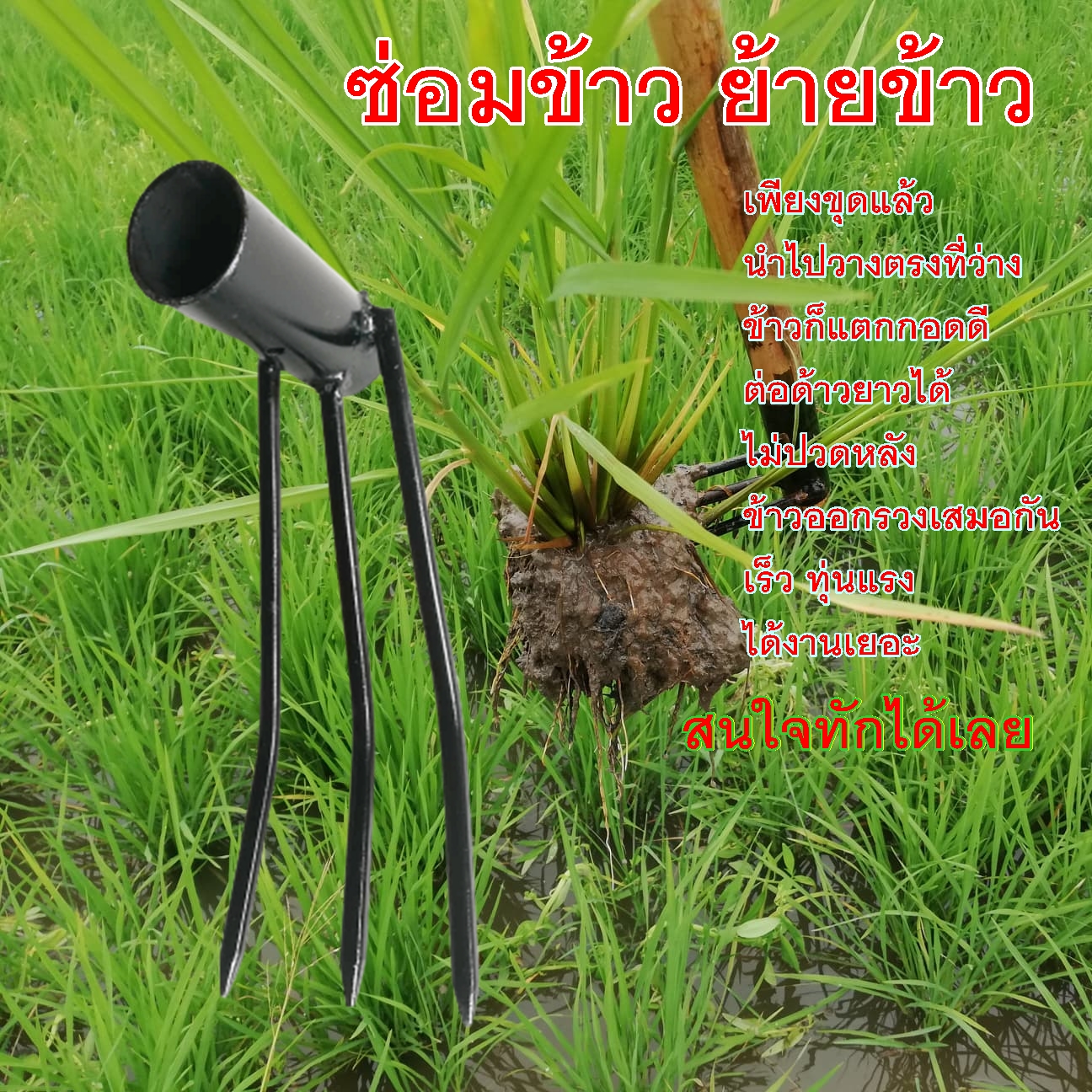 คราดย้ายข้าว ขนาด 6 หุน ส่งฟรีเก็บเงินปลายทาง ราคาถูกและมีราคาส่งให้ไปขายต่อ