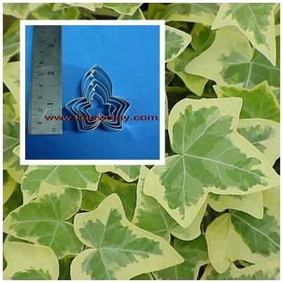 พิมพ์อลูมิเนียมตัดใบไอวี่Aluminum mold cutter Ivy leaves )