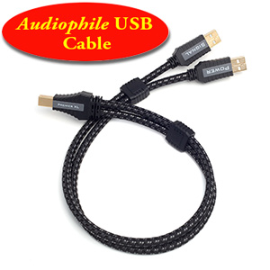 Pangea Audio Premier XL Twin Lead USB Cable ยาว 1M