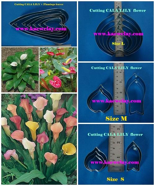 พิมพ์ตัดดอกค่าร่า(Aluminum mold cutter calla lily)