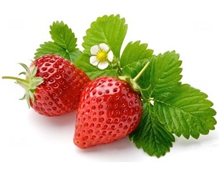 พิมพ์เรซินอัดลายใบสตอเบอรี่(Veiners Strawberry leaf )
