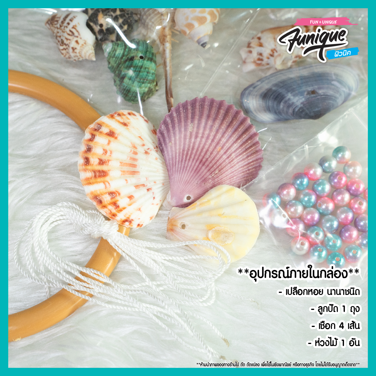 ชุดระฆังเปลือกหอย Seashell Wind Chill เปลือกหอย ตกแต่ง ประดิษฐ์ ชั่งกิโล Funique