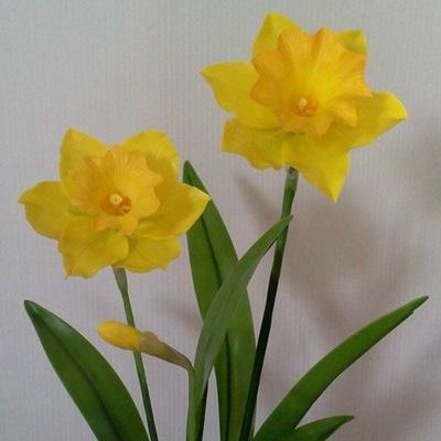 พิมพ์อลูมิเนียมตัดดอกเดฟโฟดิล+ใบ(Aluminum mold cutter Daffodil flower )