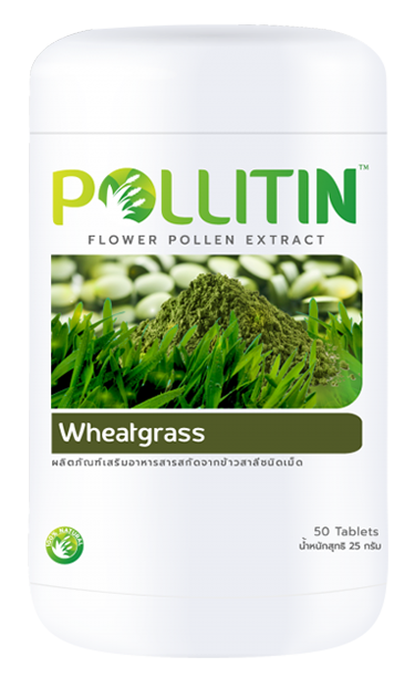 Wheatgrass (วีทกราส)