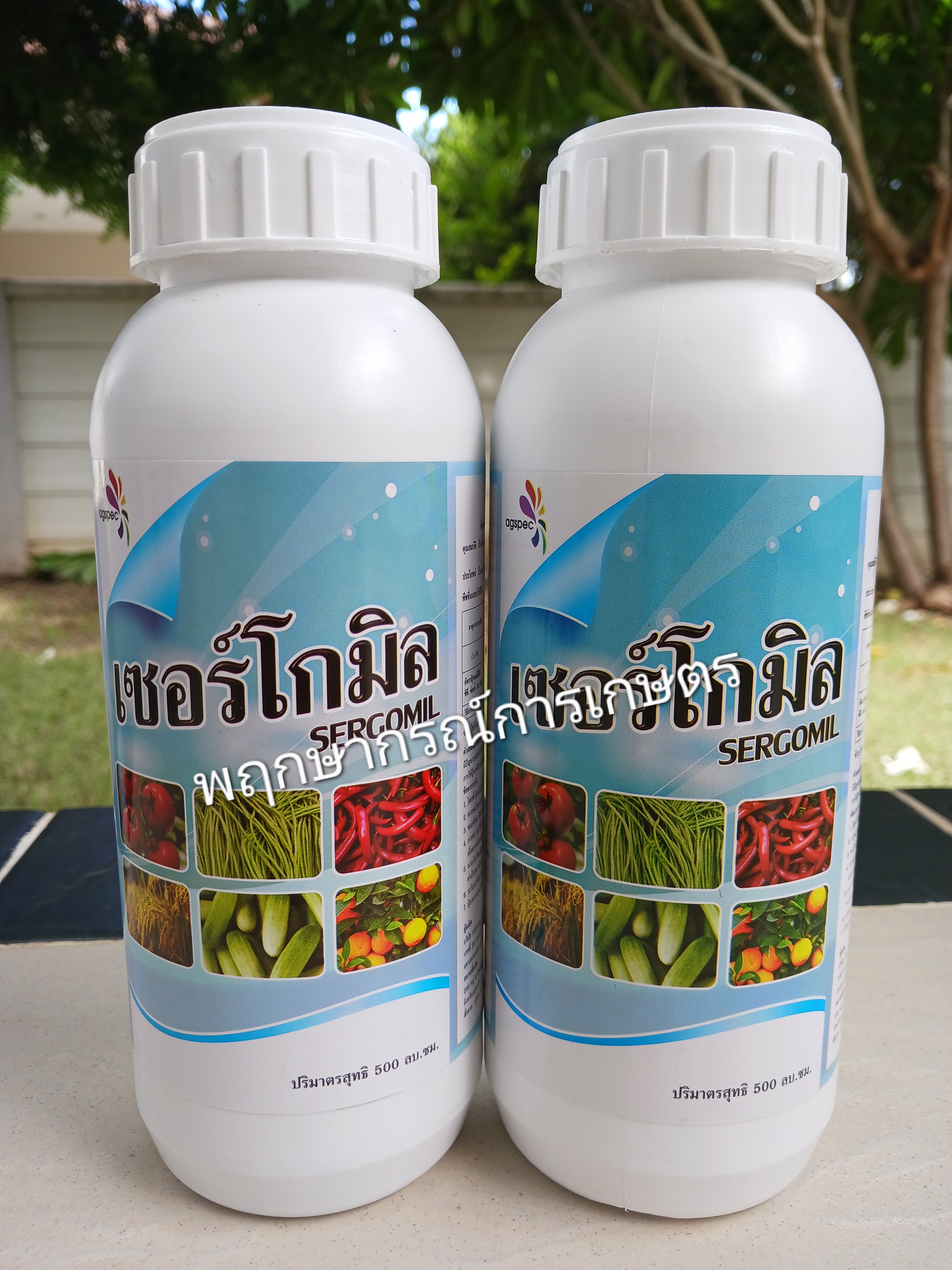 เซอร์โกมิล