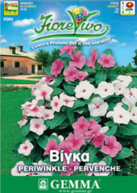 แพงพวยมาดากัสการ์ (Madagascar periwinkle) คละ / ซอง 50 เม็ด (Greece)*