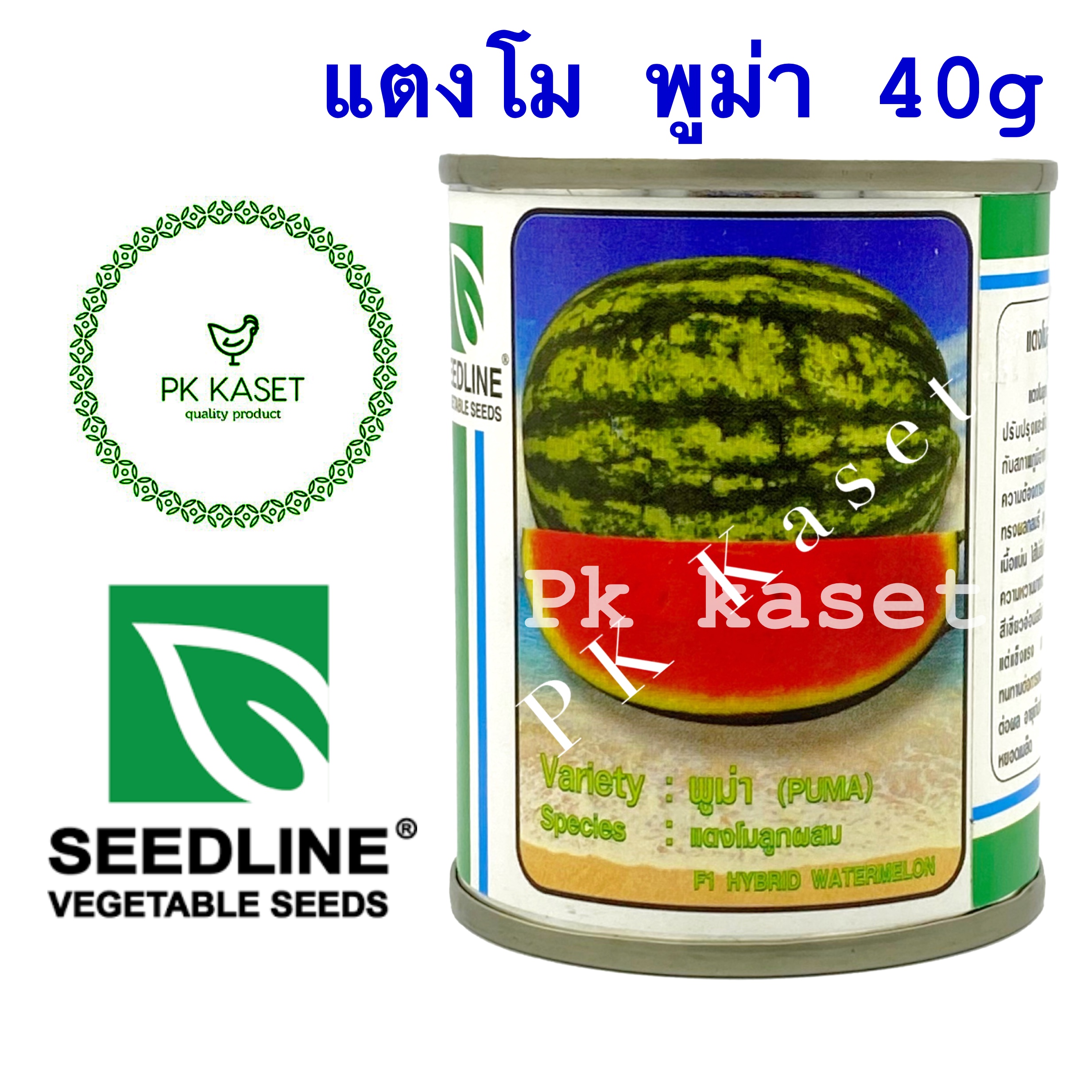 เมล็ดแตงโม พูม่า (PUMA) ตราseedline กระป๋อง ขนาด 40 g แตงโมลูกผสม F1 HYBRID WATERMELON