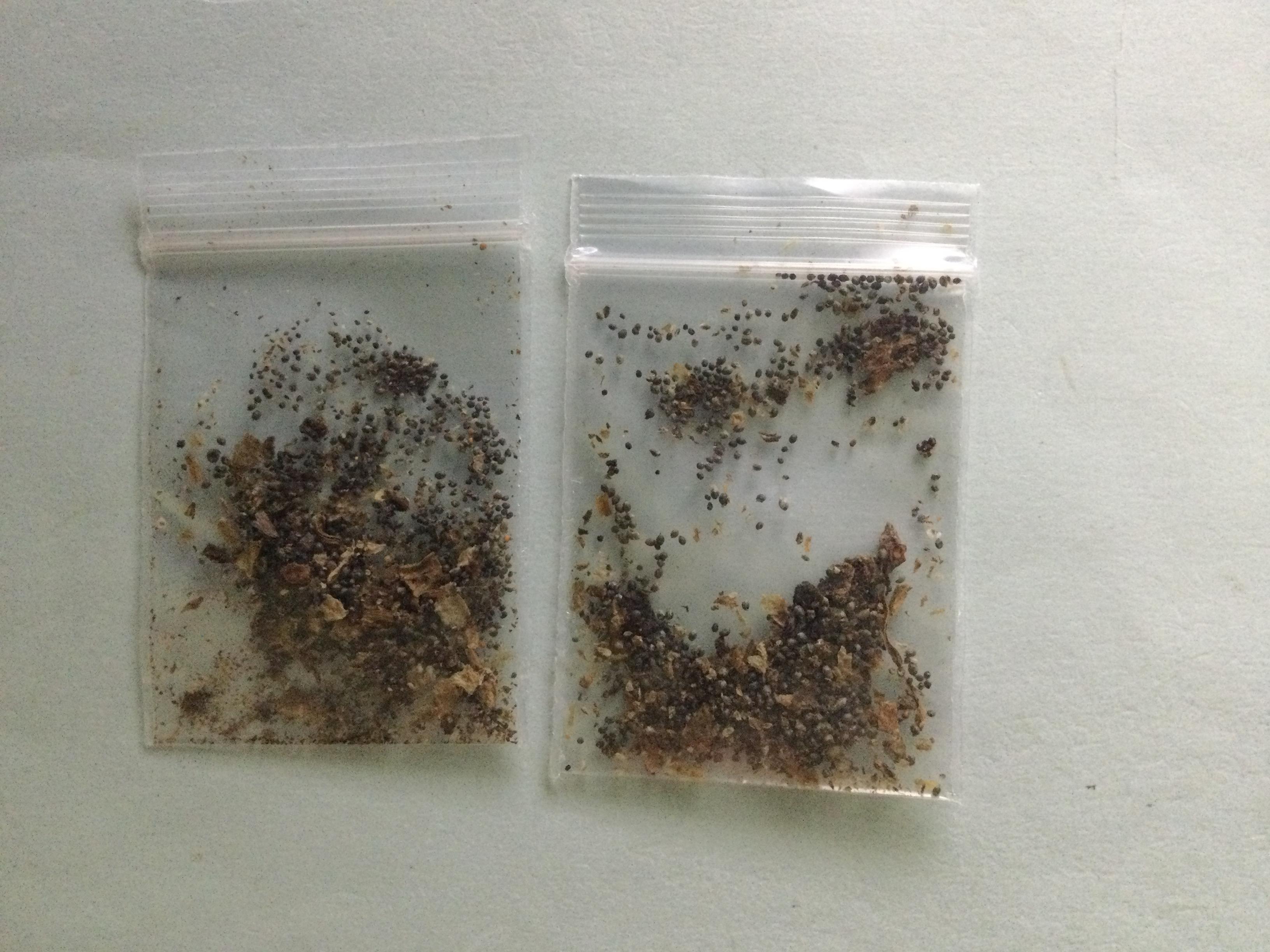 บัวสายขาว หรือบัวขาว / 200 เม็ด*