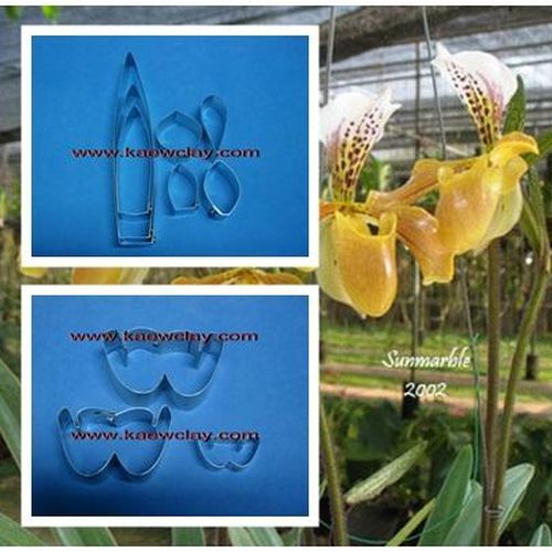 พิมพ์ตัดดอก+ใบรองเท้านารีเหลืองกระบี่ (Aluminum mold cutter Paphiopedilum exul)
