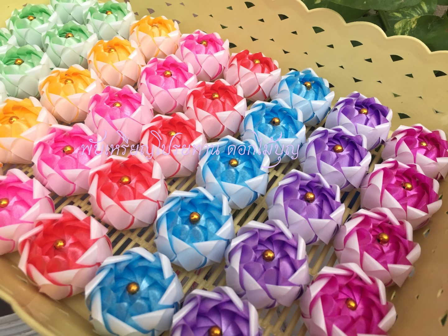 ส้มสาน เหรียญโปรยทาน