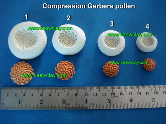 แบบอัดเกสรดอกเยียบีร่า,ดอกมัม (Compression Gerbera, Mum pollen )