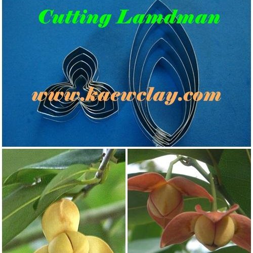พิมพ์ตัดอลูมิเนียมดอกลำดวน+ใบ(Aluminum mold cutter Lamdman flower+ Leaf)