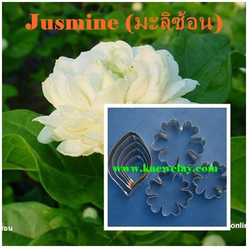 พิมพ์อลูมิเนียมตัดดอก+ใบมะลิ(Aluminum mold cutter Jasmine + leaves)