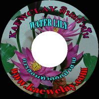 DVD หรือ Link Online การสอนทำดอกบัวสาย (DVD How to make WATER LILY with KAEWCLAY)