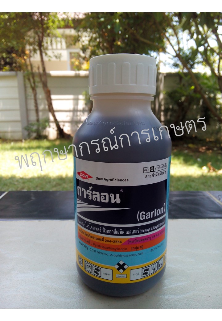 การ์ลอน 500 ซีซี