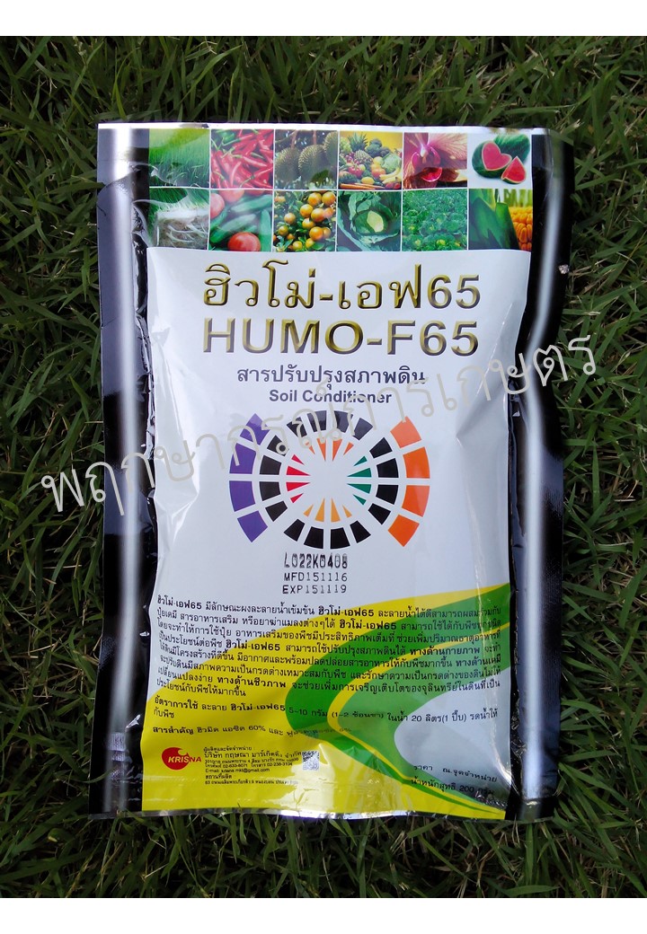 ฮิวโม่-เอฟ65