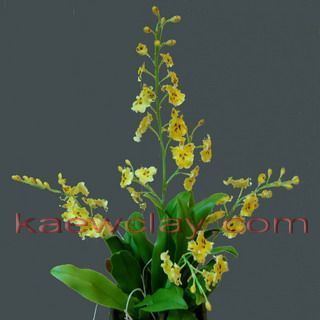 พิมพ์ตัดกล้วยไม้สาวน้อยเริงระบำ(Aluminum mold cutter Oncidium orchids)