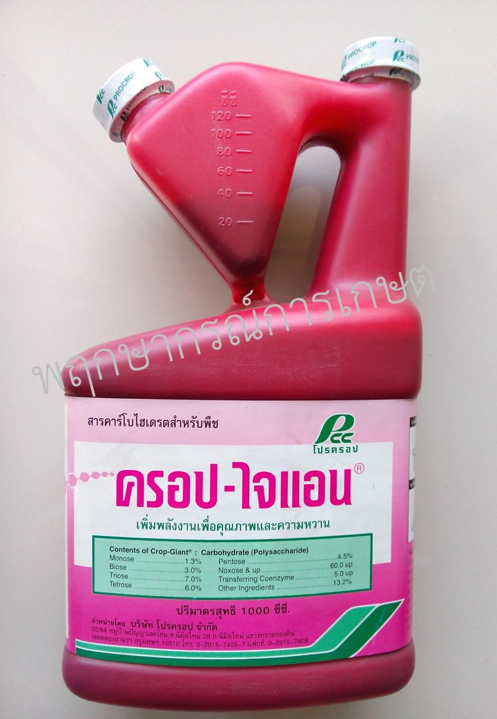 ครอป-ไจแอน