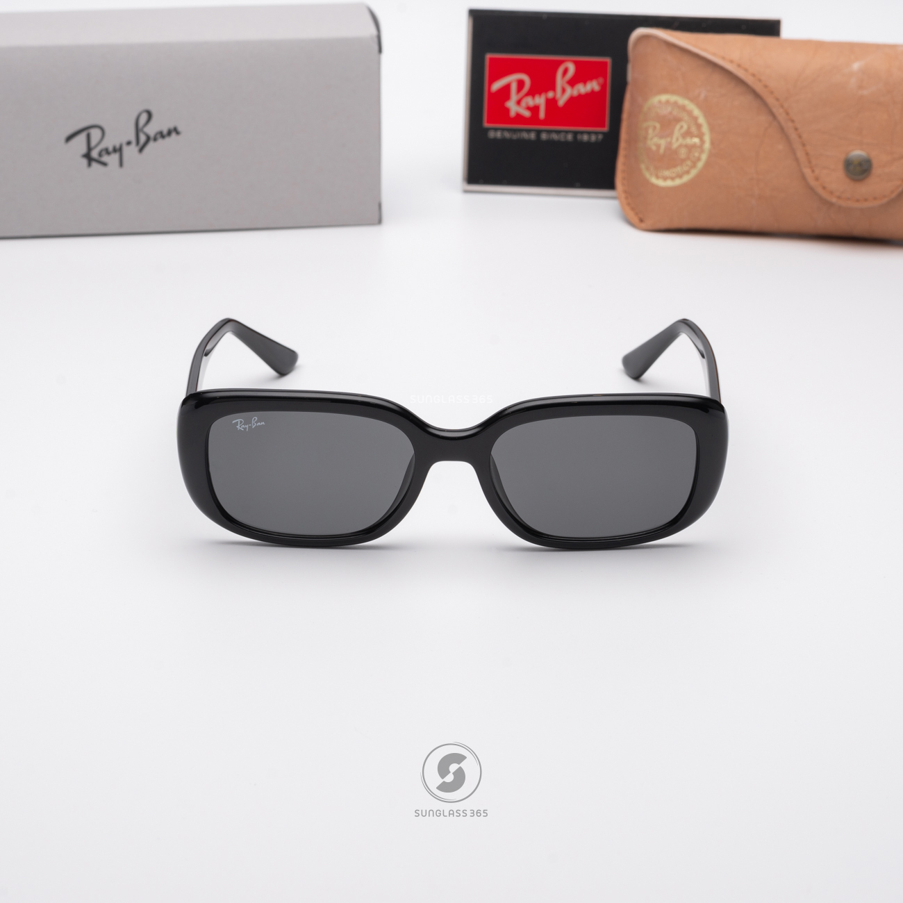 Ray-Ban RB4421D 667787 Black