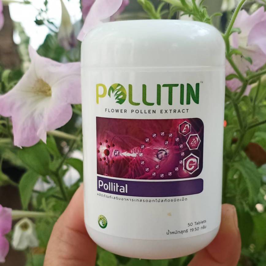 พอลลิทอล Pollital (สีม่วง)