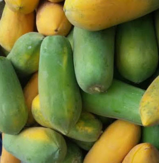 มะละกอ ฮอลแลนด์ / 50 เม็ด